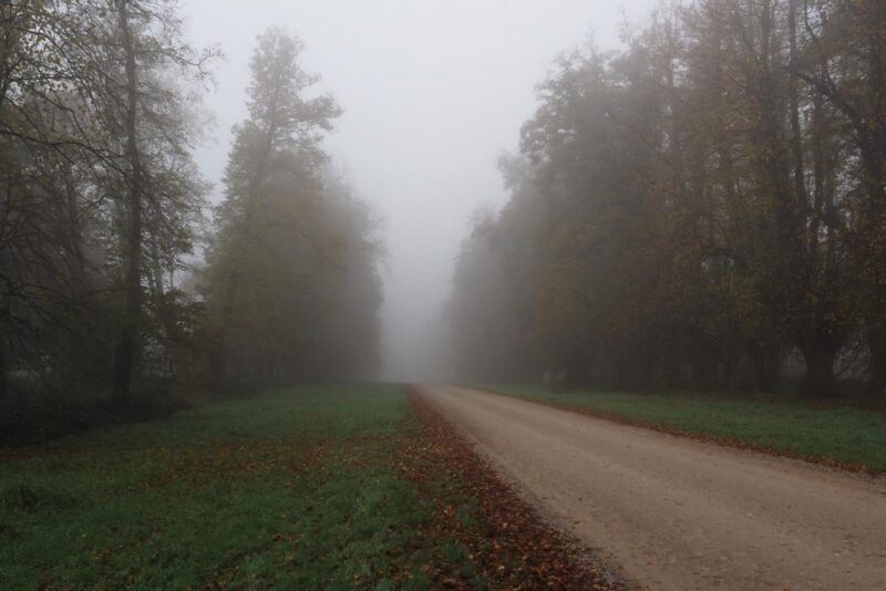 Cuidados ao dirigir com neblina: como enxergar e ser visto